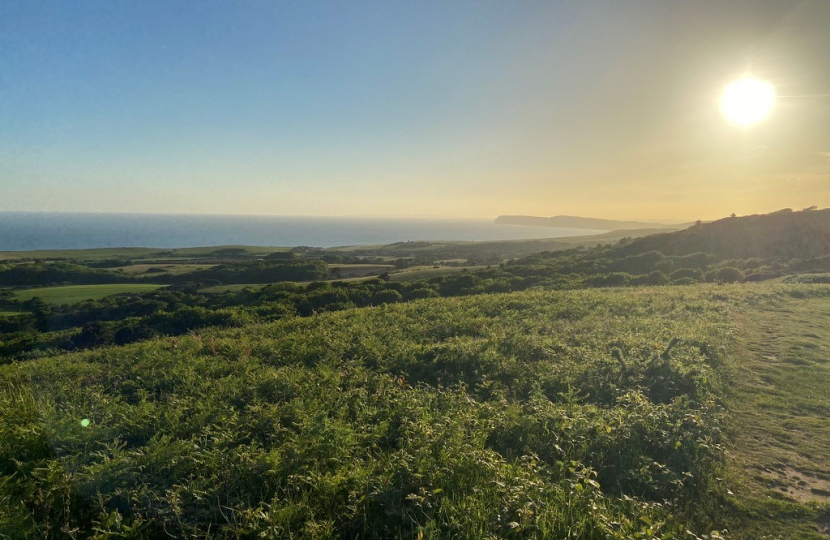 View over Mottistone