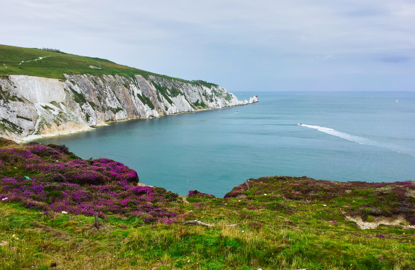 The Needles