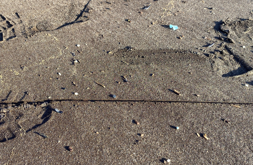 Nurdles at Brook Beach