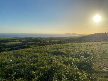 View over Mottistone