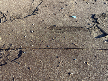 Nurdles at Brook Beach