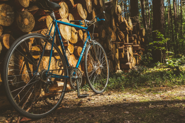 MP Bob Seely asks government to support bid for improved sustainable transport networks.